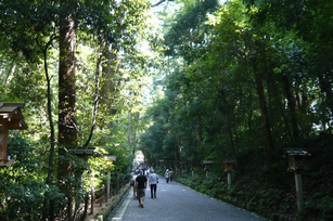 f0221708_16154327.jpg