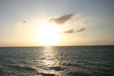 f0127610_2015735.jpg