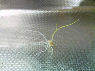 f0000211_21101254.jpg