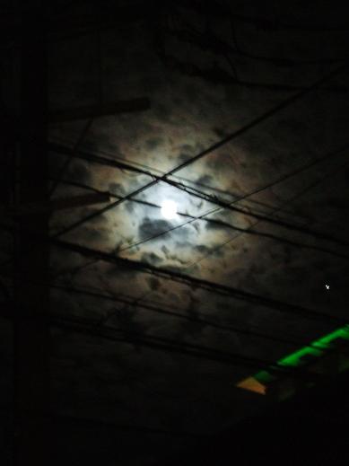 c0229214_21153230.jpg