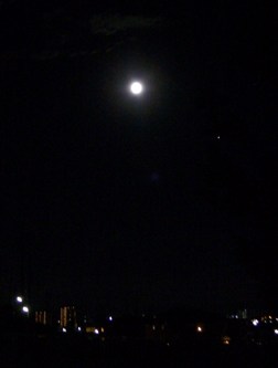 a0145815_21563726.jpg