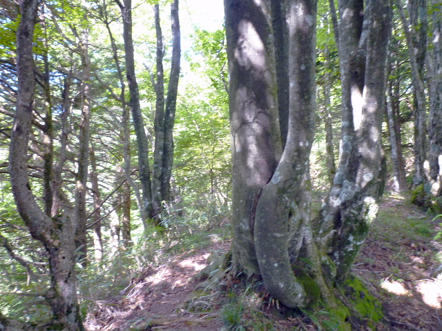 d0170615_7554037.jpg