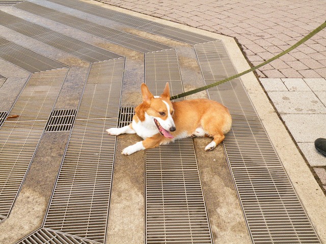 c0127617_1625315.jpg