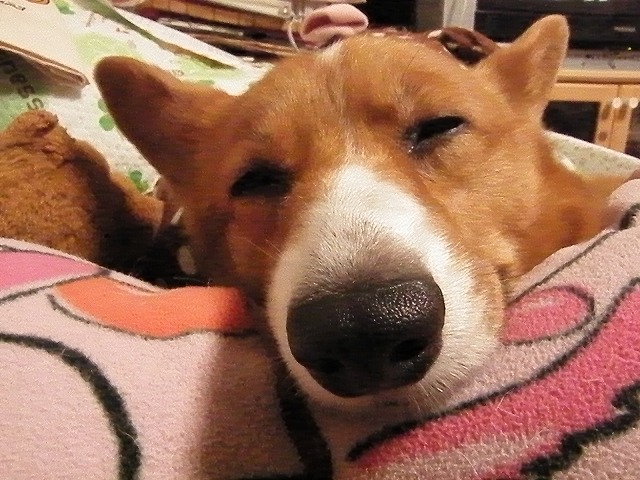 c0127617_1632535.jpg