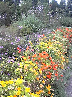 d0088920_17215526.jpg