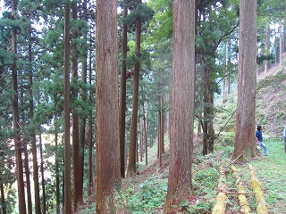 e0002820_215384.jpg