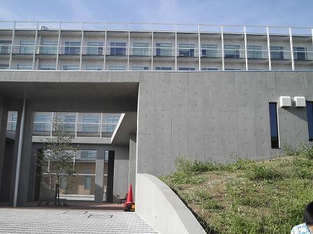 b0173222_054524.jpg