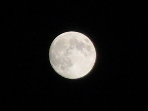 c0151122_1041249.jpg