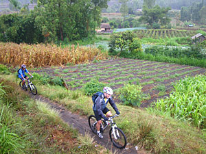 d0023725_1829421.jpg