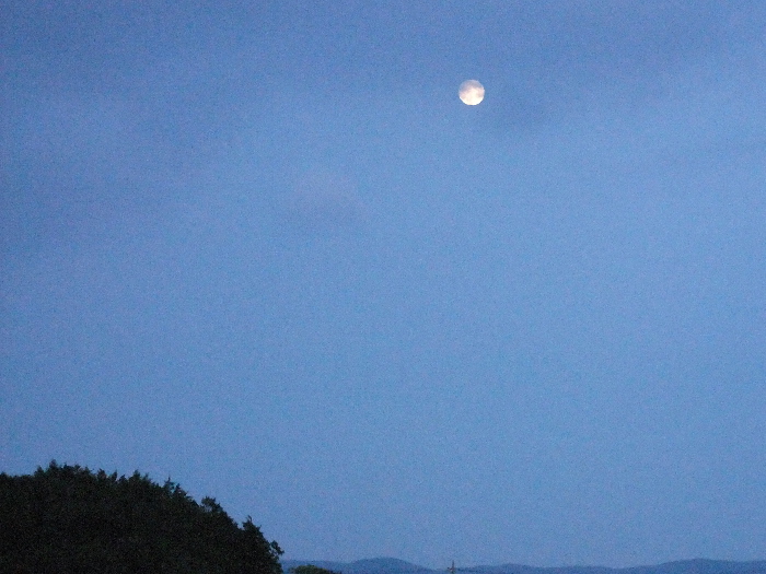 f0103126_2020544.jpg