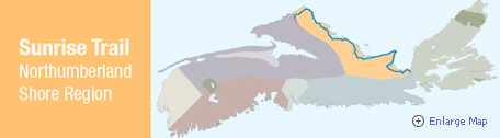 b0204528_2214471.jpg