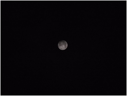 d0017632_235839100.jpg