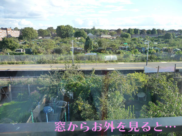 b0036733_101429100.jpg