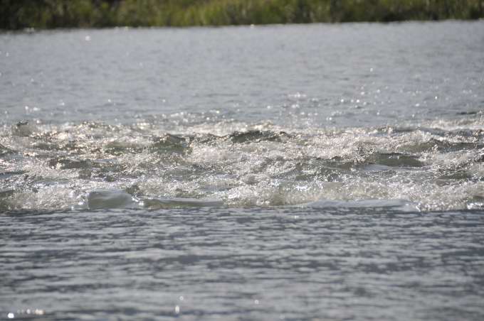 c0133133_153839.jpg