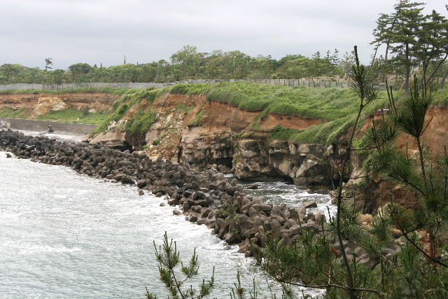 e0064133_23272442.jpg
