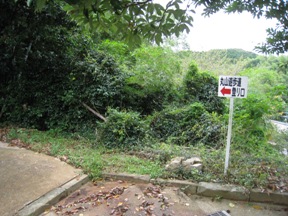 c0077338_18591299.jpg