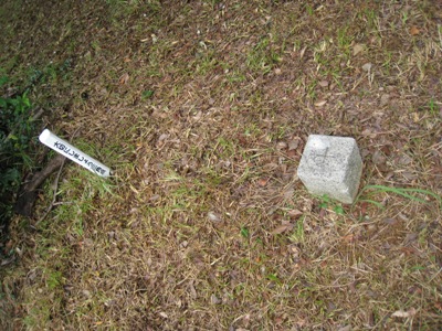 c0077338_1912351.jpg
