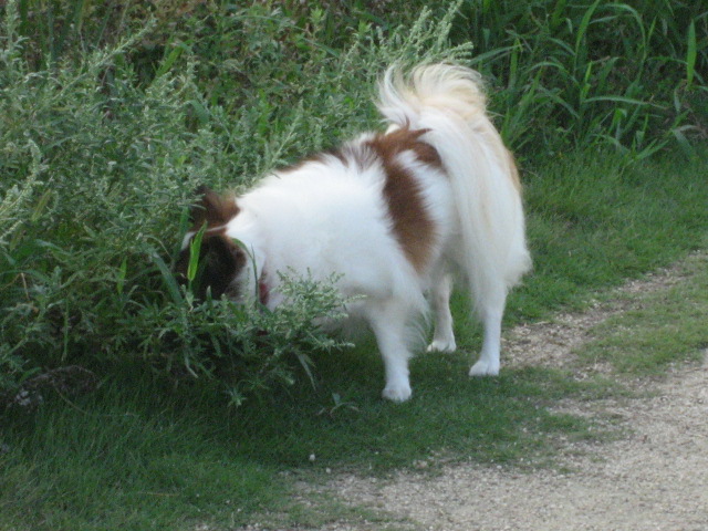 a0149240_11405111.jpg