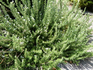 b0200240_21225424.jpg