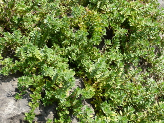 b0200240_21241468.jpg
