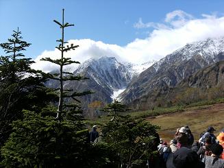 a0124543_1653282.jpg