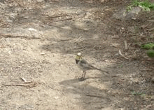 f0031546_1417628.gif