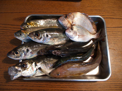 e0201348_1842502.jpg