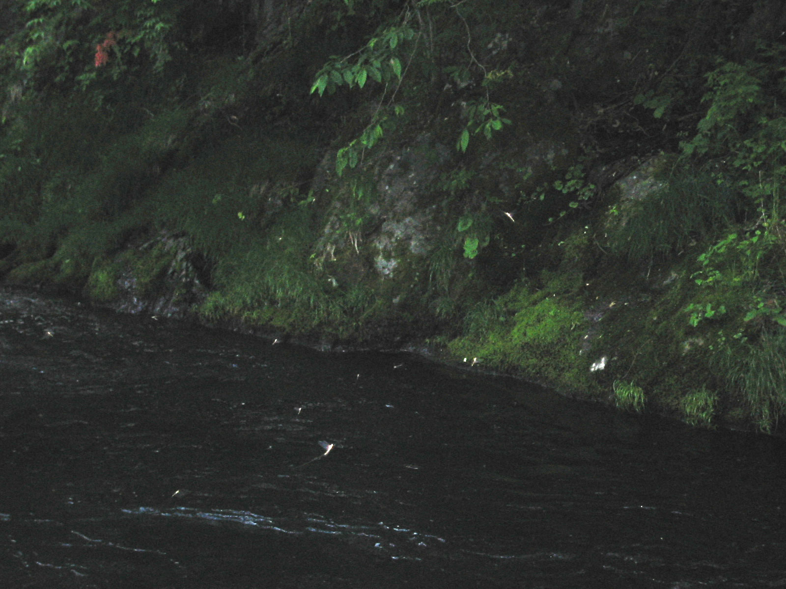e0201348_1910194.jpg