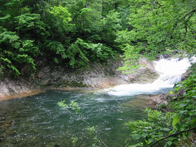 e0201348_1918994.jpg