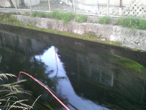 e0201348_20345493.jpg