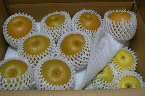 b0177649_2135894.jpg