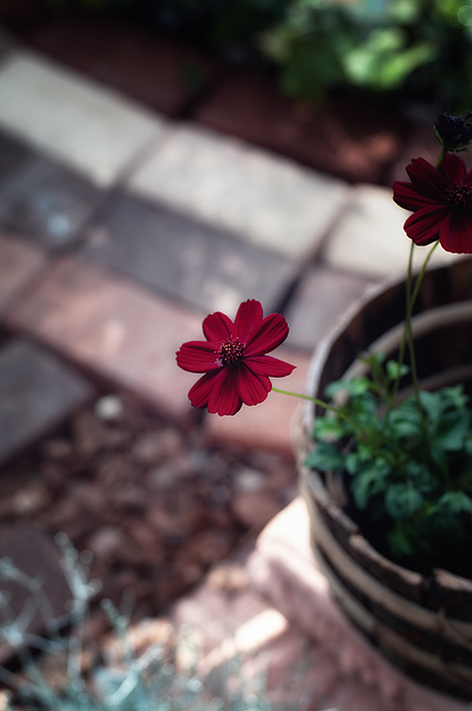 a0030150_17435186.jpg