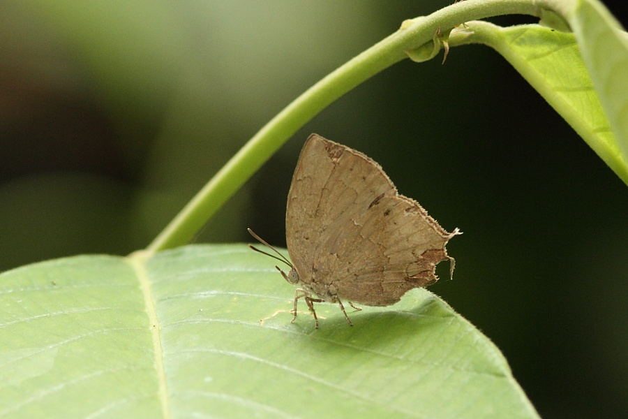 a0094850_12257.jpg