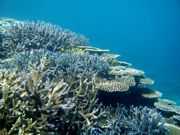 e0134752_21493479.jpg