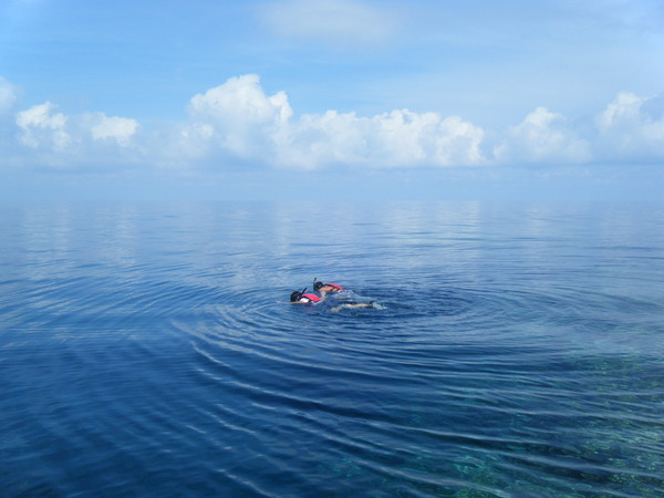 e0134752_21501462.jpg