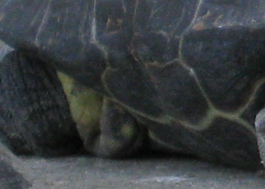 a0025257_21362095.jpg