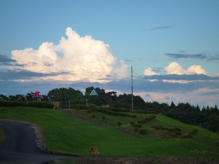 b0141860_10473490.jpg
