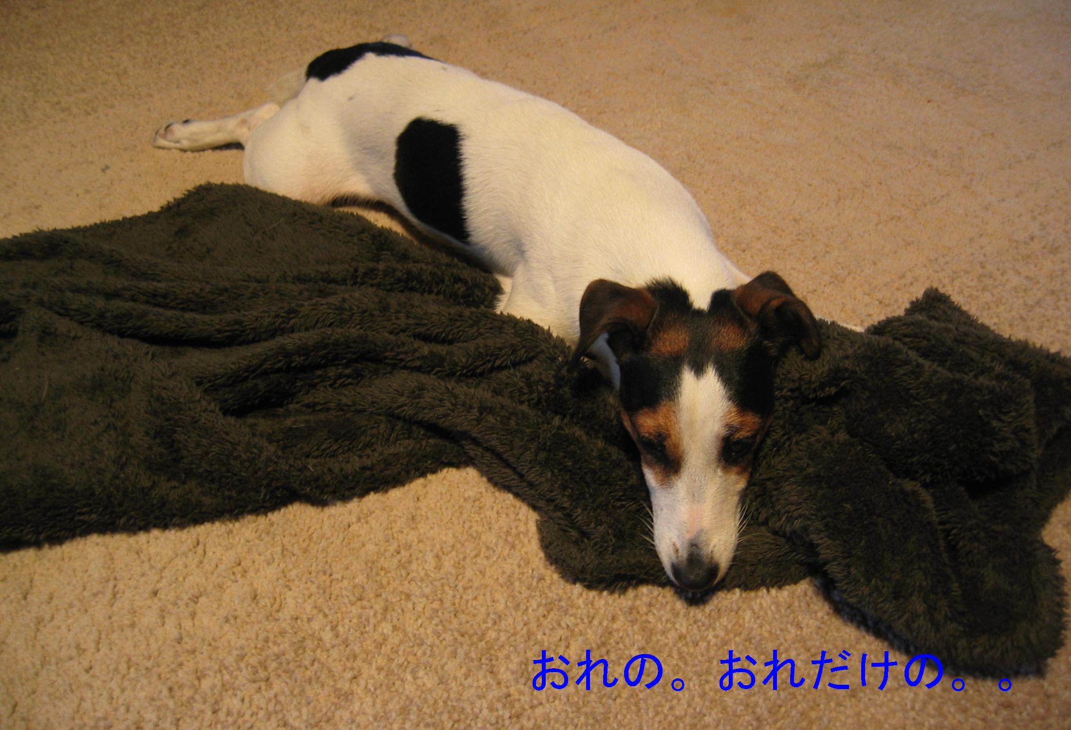 c0140260_21573286.jpg