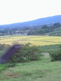 c0030363_1891843.jpg