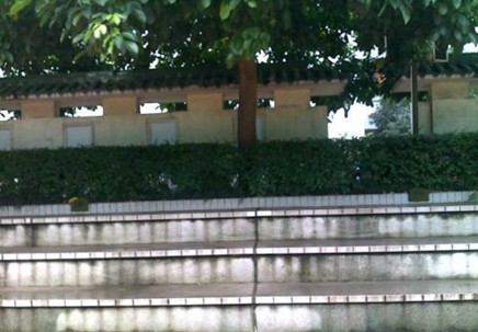 f0137167_17484259.jpg