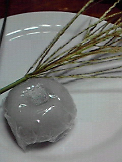c0144868_391610.jpg
