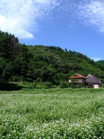 e0045768_21543661.jpg
