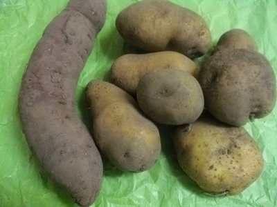 f0222768_1332499.jpg