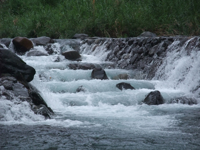 f0044270_1126388.jpg