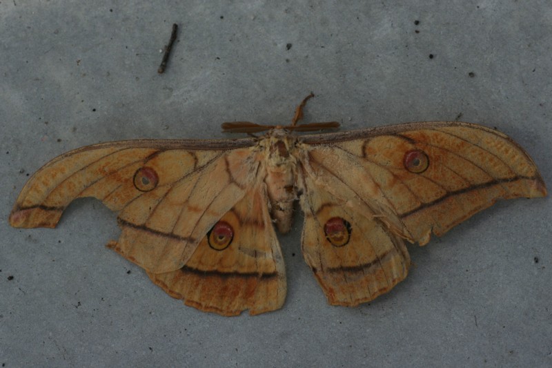 b0088772_16343914.jpg