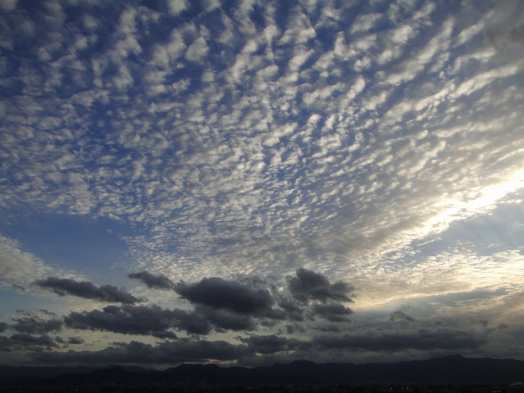 c0183777_2103695.jpg