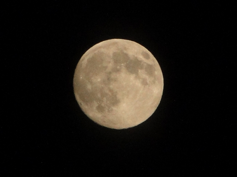c0183777_215828.jpg