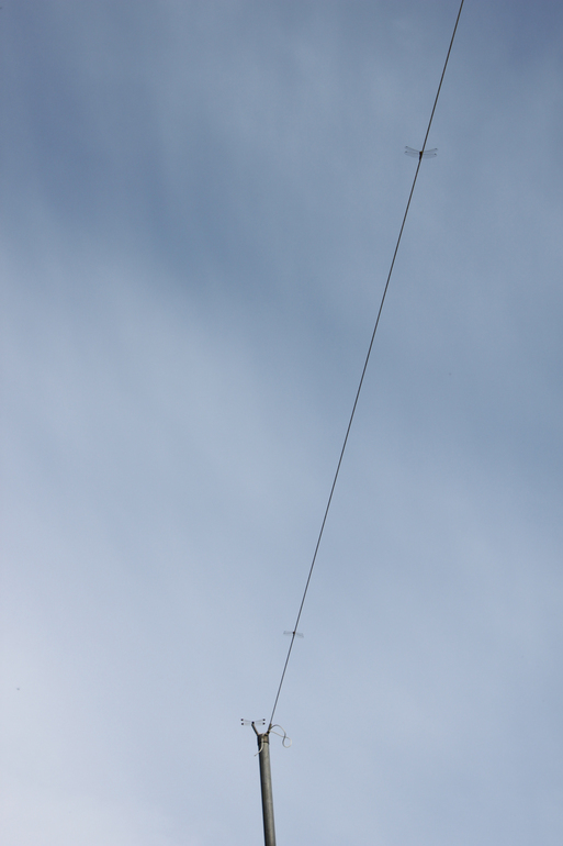 e0112077_23424795.jpg