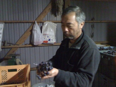 d0084478_10203424.jpg