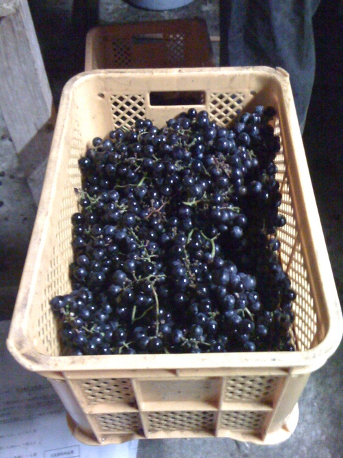 d0084478_12295648.jpg